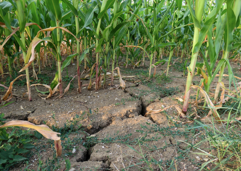 2016: Southeast drought